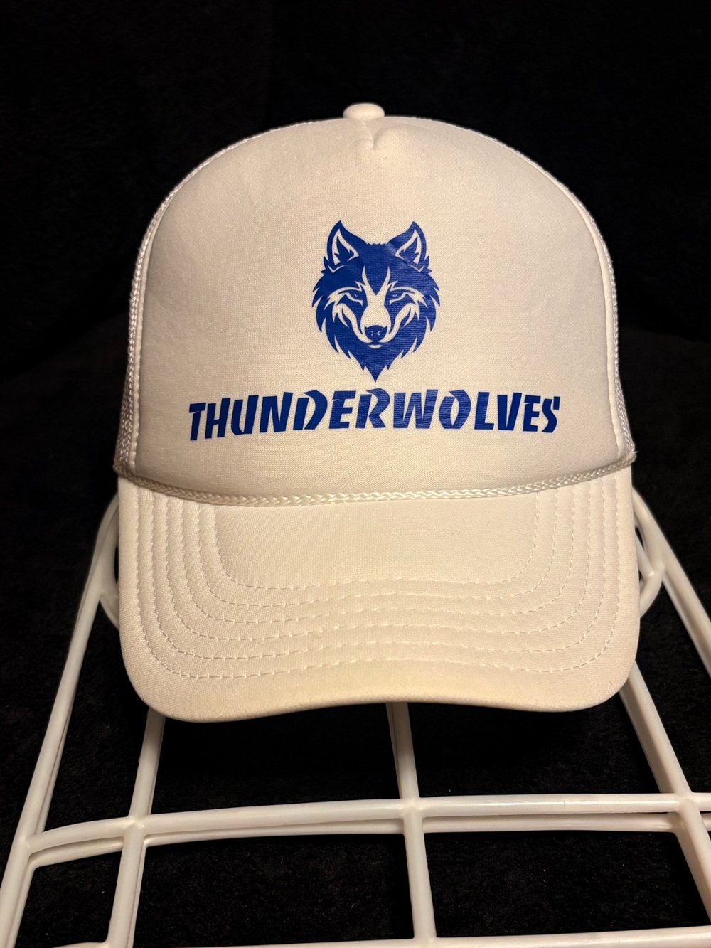 Colorado State at Pueblo Thunderwolves x Otto blue logo white SnapBack hat NWOT